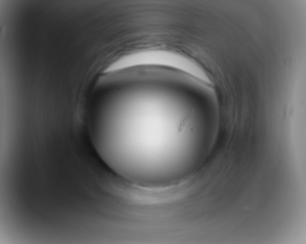 X0000089890035200707192022