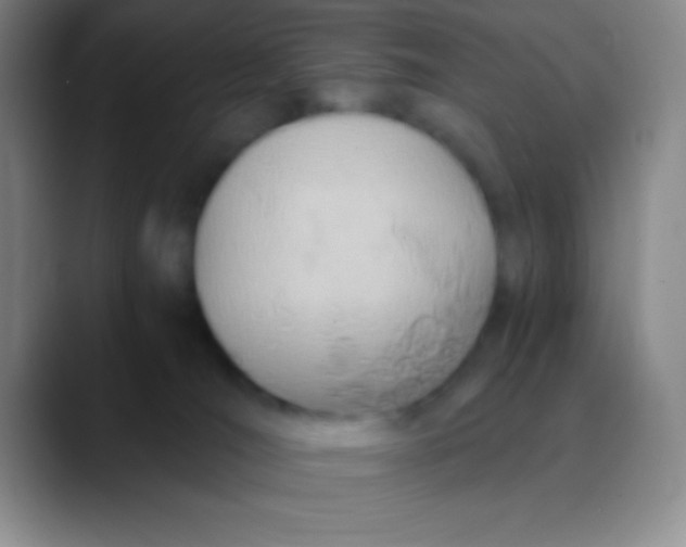 X0000089890036200707192022