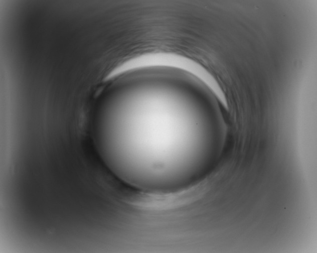 X0000089890037200707192022