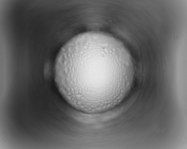 X0000089890038200707192022