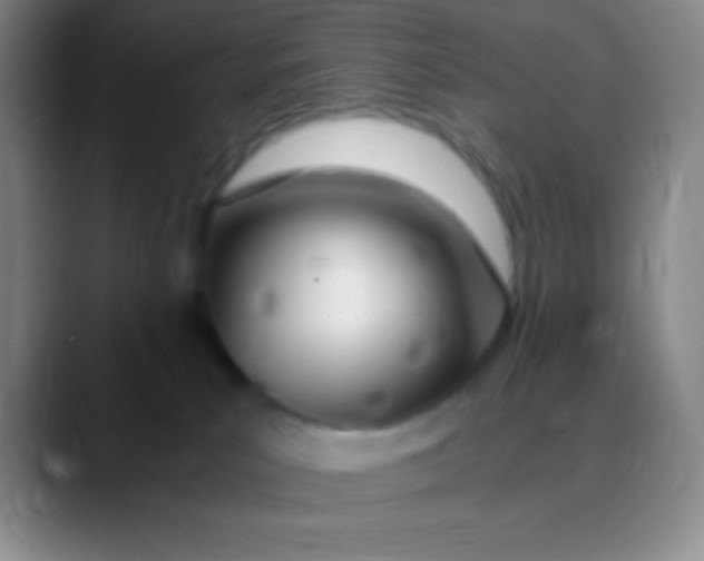 X0000089890039200707192022