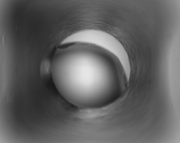 X0000089890041200707192022