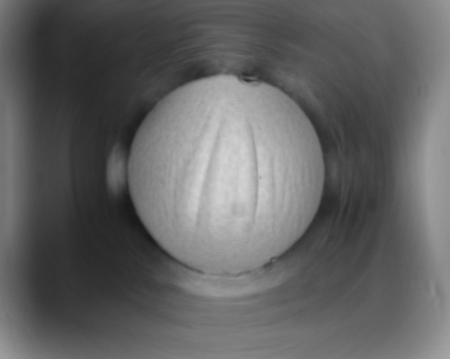 X0000089890042200707192022