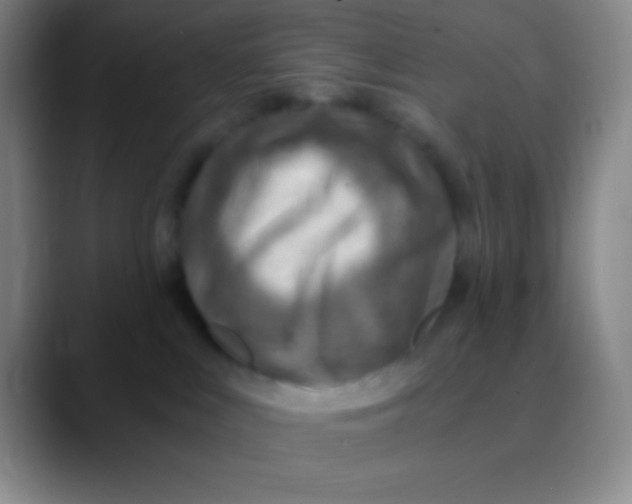 X0000089890043200707192022