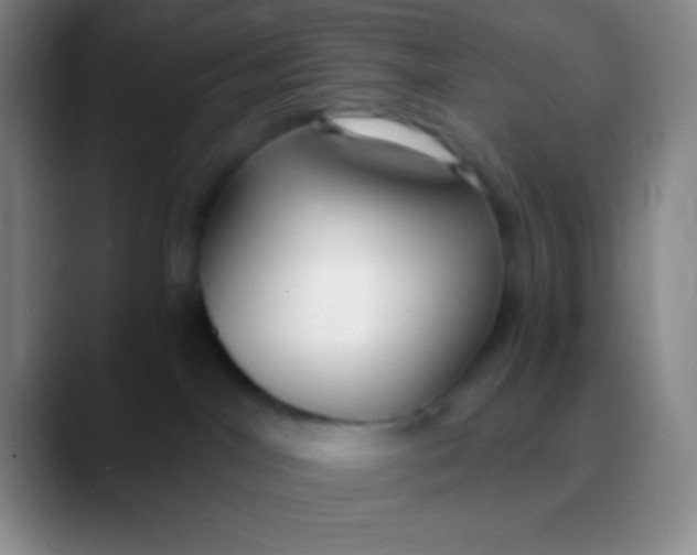 X0000089890044200707192022