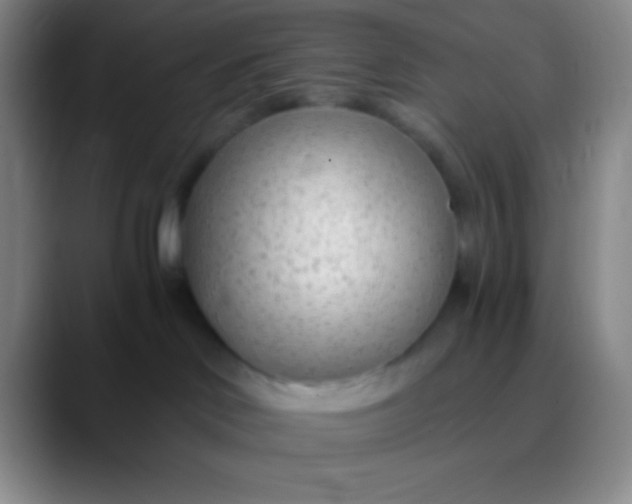 X0000089890046200707192022