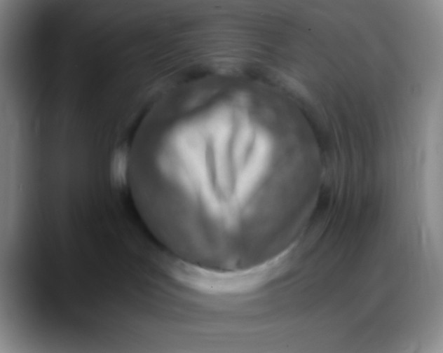 X0000089890047200707192022