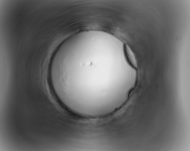 X0000089890049200707192021