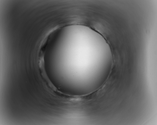 X0000089890050200707192021