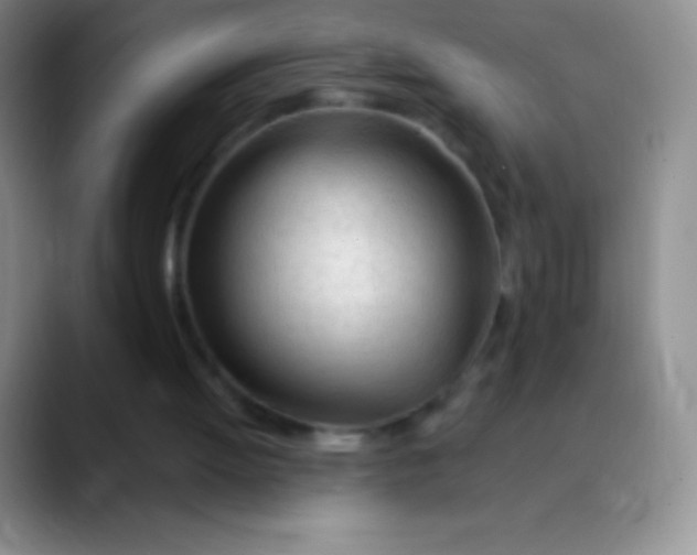 X0000089890052200707192021