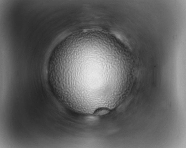 X0000089890053200707192021