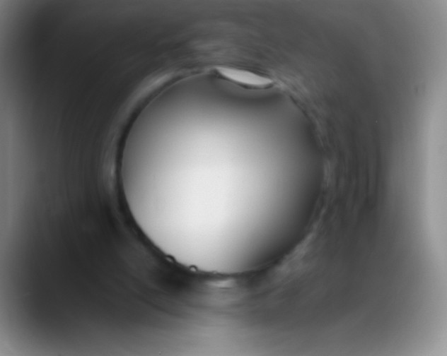 X0000089890054200707192022