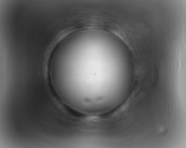 X0000089890055200707192022