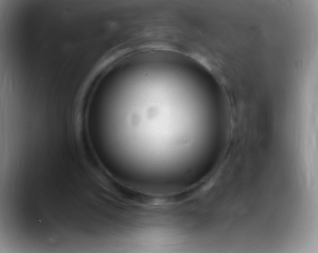 X0000089890056200707192022