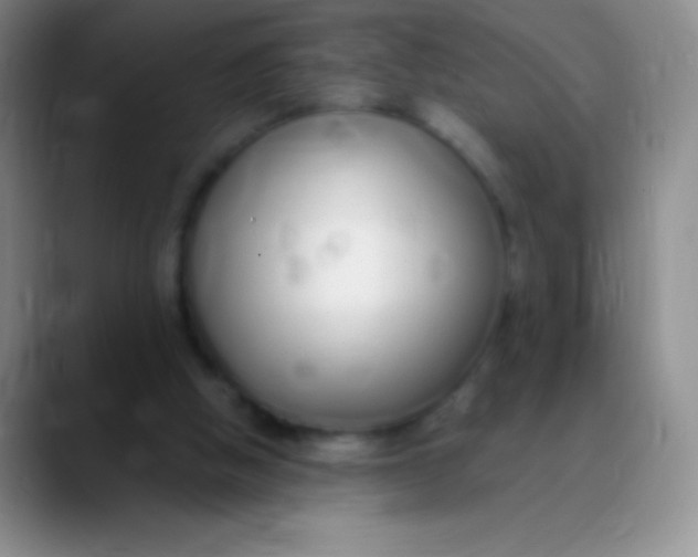 X0000089890058200707192022