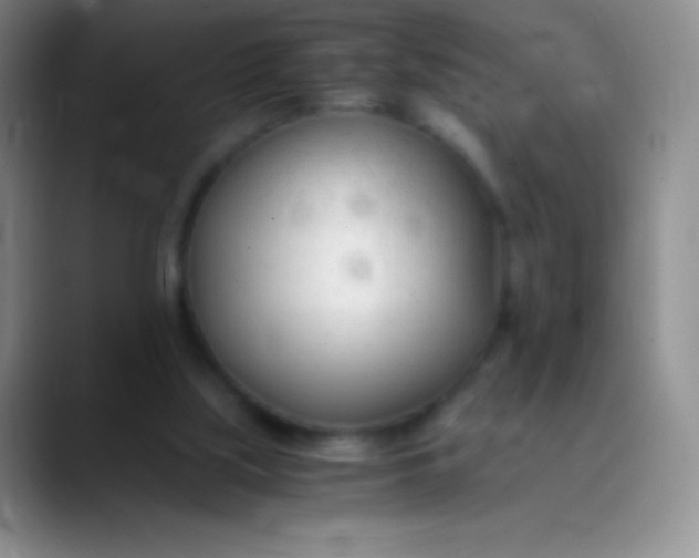 X0000089890059200707192022