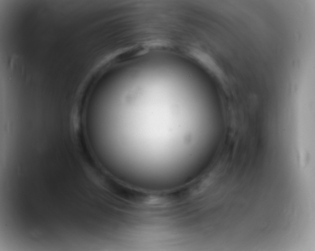 X0000089890060200707192022