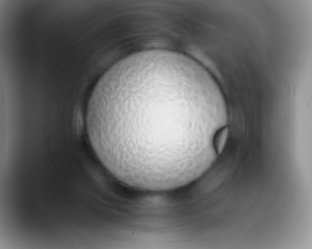 X0000089890061200707192022