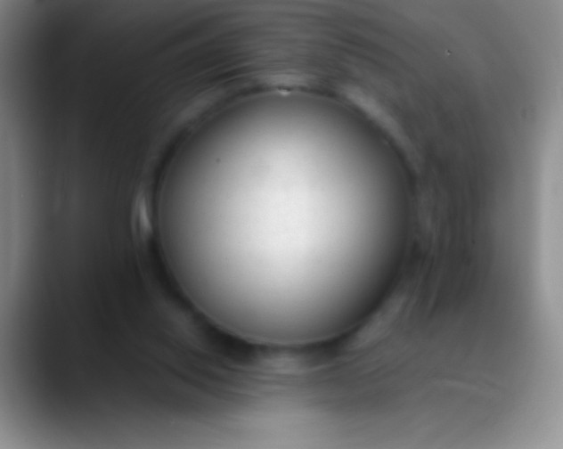 X0000089890062200707192022