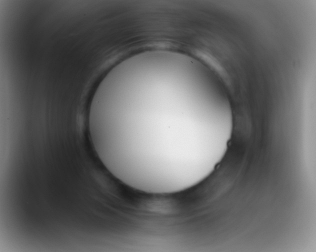 X0000089890063200707192022