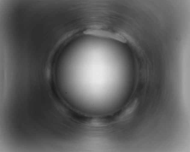 X0000089890064200707192022