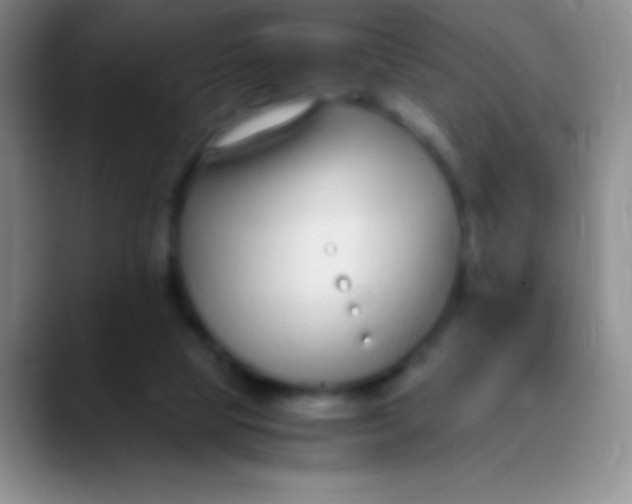 X0000089890065200707192022