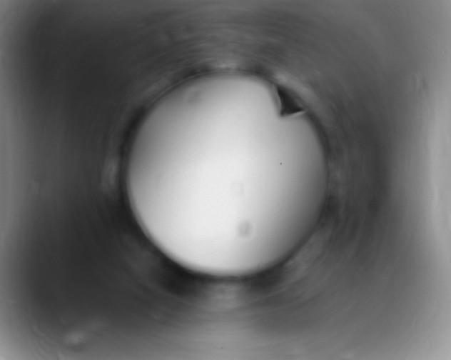 X0000089890066200707192022