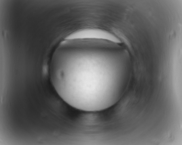 X0000089890067200707192022