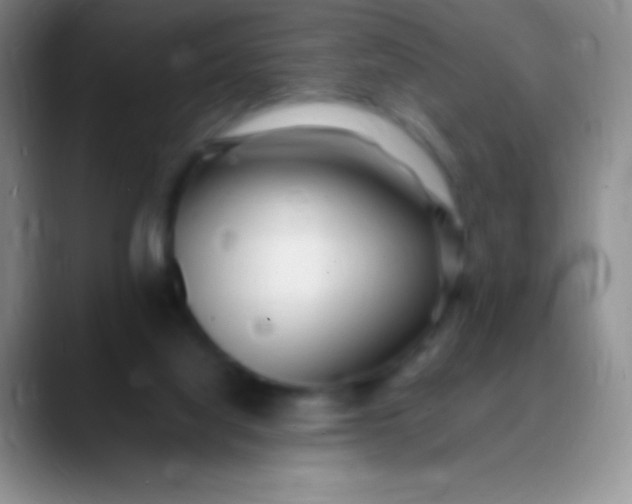 X0000089890068200707192022