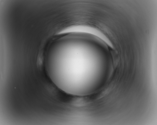 X0000089890072200707192022