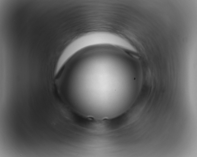 X0000089890076200707192022