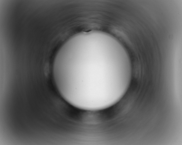 X0000089890077200707192022