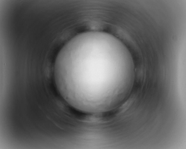 X0000089890078200707192022