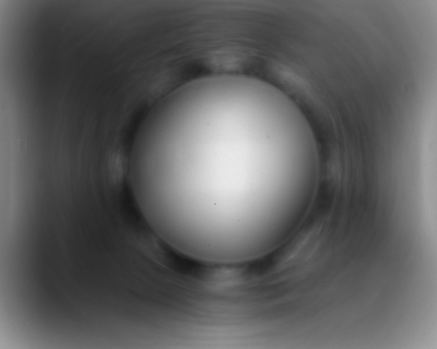 X0000089890081200707192022