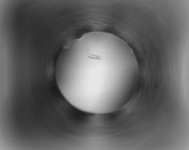 X0000089890082200707192022