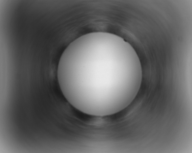 X0000089890083200707192022