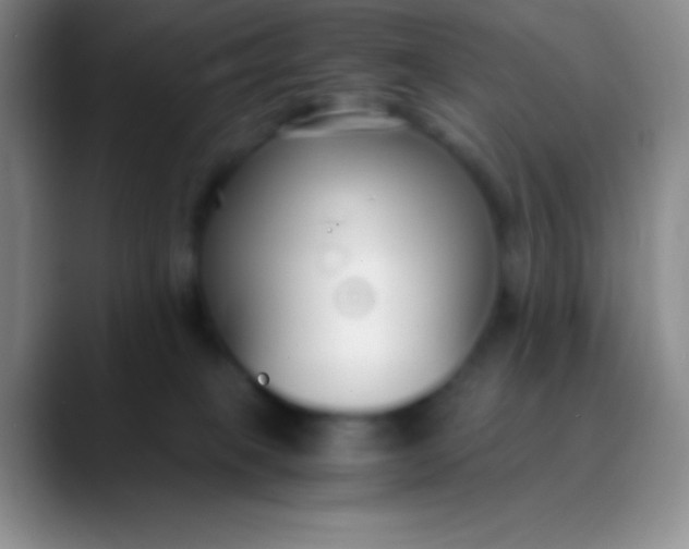 X0000089890085200707192022