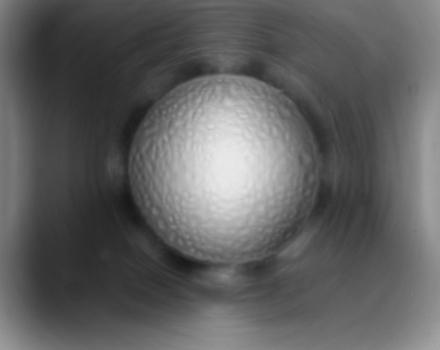 X0000089890086200707192022