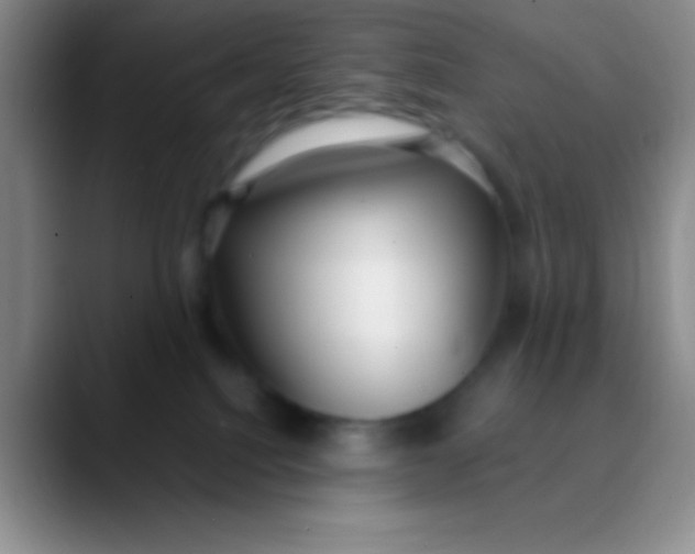 X0000089890088200707192022