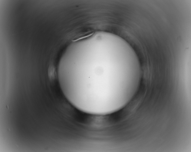 X0000089890089200707192022