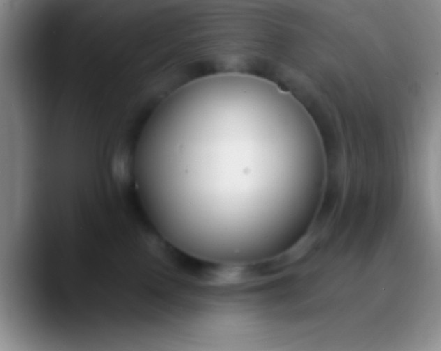 X0000089890090200707192022