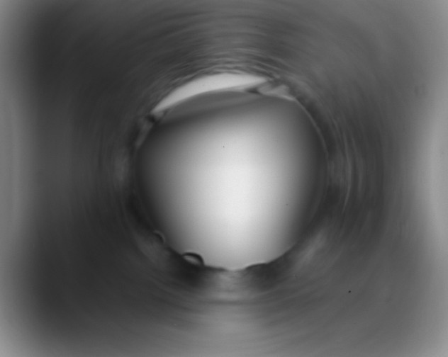 X0000089890092200707192022