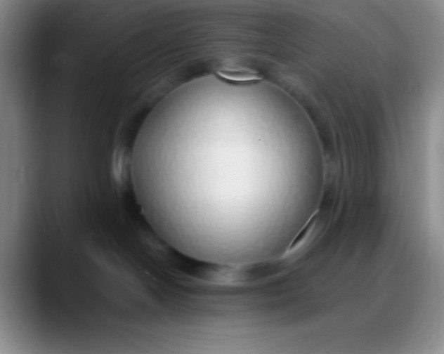 X0000089890094200707192022