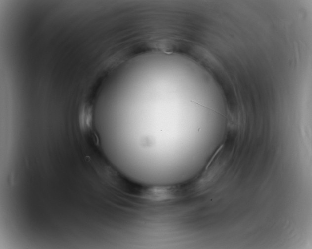 X0000089890095200707192022