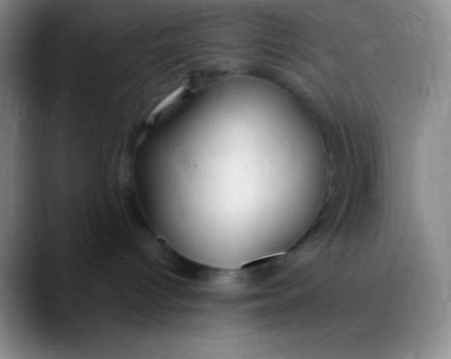 X0000089890096200707192022