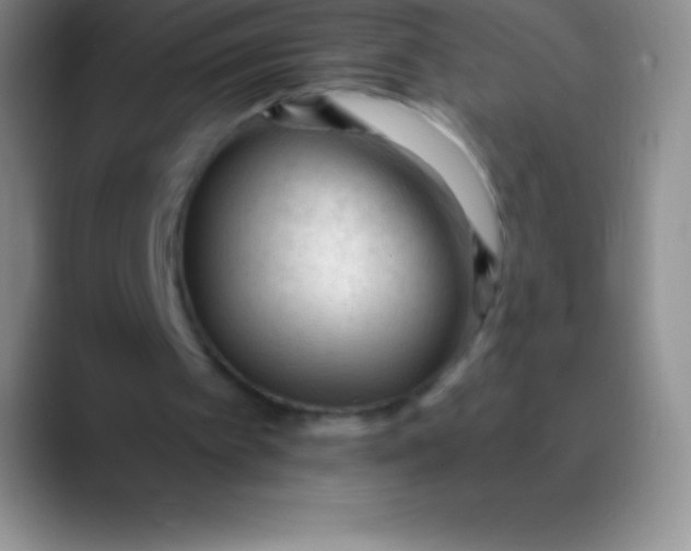 X0000089890097200707192021