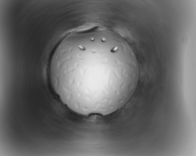 X0000089890098200707192021