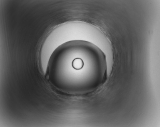 X0000089890099200707192021