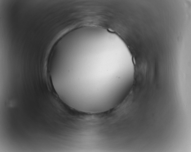 X0000089890100200707192021