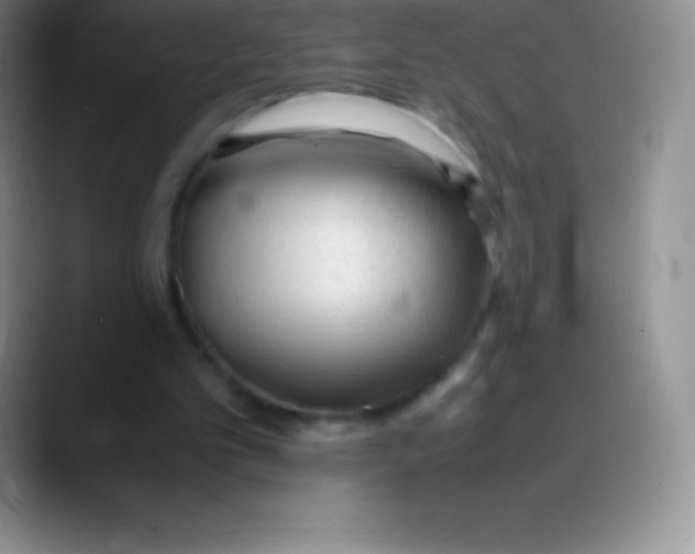 X0000089890101200707192021